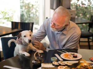 The Ultimate Guide to Phillips Pet Food