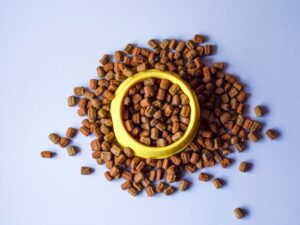 Lucy Pet Food: The Ultimate Guide for Pet Owners