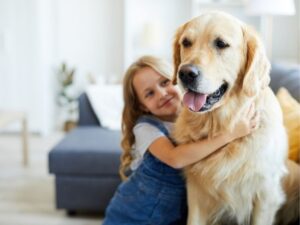Discover the Charm of Pet Friendly Hotels for Your Next Adventure