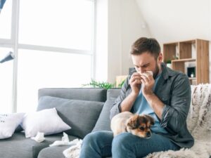 VCA Animal Hospital: Exceptional Care for Your Pet’s Health