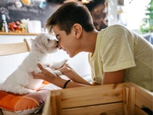 A Trusted Haven for Pets: Why Total Pet Care Animal Hospital Stands Out in Veterinary Excellence