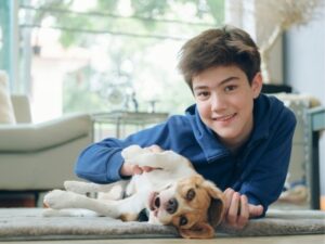 Orange County Animal Shelter: A Guide to Adopting, Volunteering, and Supporting