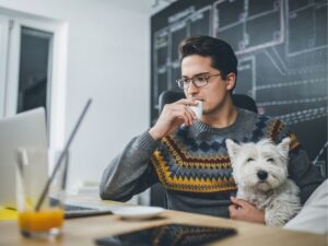 Expert Animal Eye Care in Cary, North Carolina: Ensuring Your Pet’s Vision Health