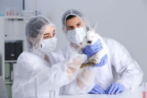 Alternatives to Animal Testing: Ethical Science Solutions