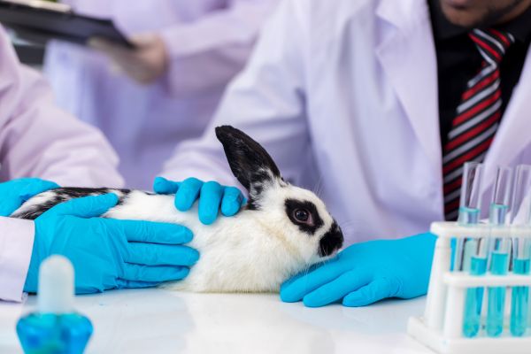 Animal cruelty prevention