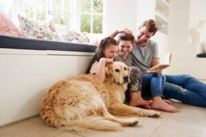 Pets and Child Development: Key Benefits