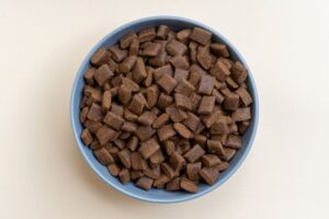 How to Read Dog Food Labels Like a Pro